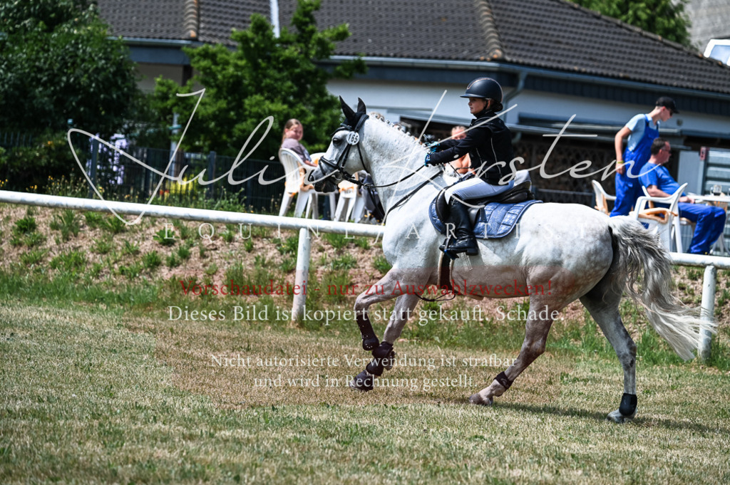 DSC_9810 | Pferde- und Turnierfotografie in Westsachsen. Pferdeportraits, Auftragszeichnungen und intuitive Kunst.