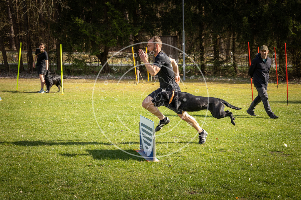 Pfotenfotografie_DV3A1749 | Hundefotografie, Tierfotograf, Pfotenfotografie, Fotoshooting Hund, Hunde Portrait, Hundesport, Hundeportraits, Heideshooting, Hunde, Sportfotograf, Hundefotograf, Turnierhundsport, THS,  - Realisiert mit Pictrs.com