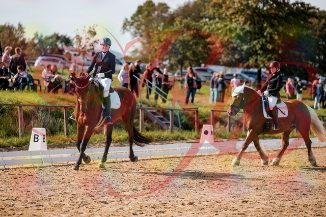 2026_10_03_Siefer-Hof_130324_Z63_65578757 | Professionelle Reitsport-, Turnier- und Eventfotografie von Robert Broda. Galerien mit ausgewählten und bearbeiteten Bildern direkt online ansehen und bestellen.