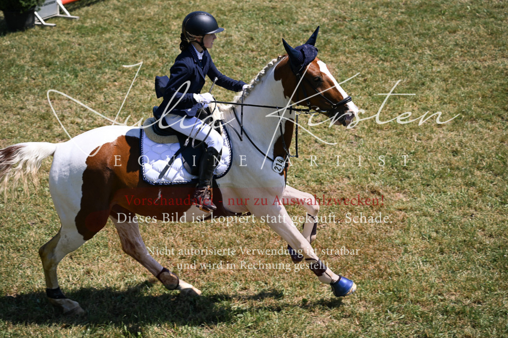 DSC_9953 | Pferde- und Turnierfotografie in Westsachsen. Pferdeportraits, Auftragszeichnungen und intuitive Kunst.