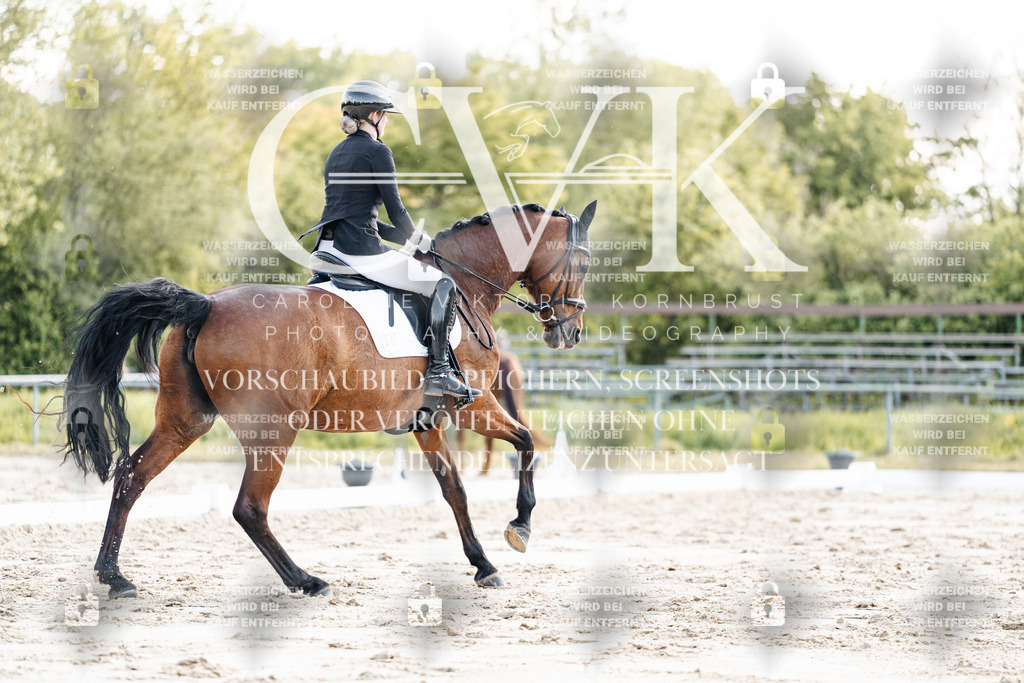 CK909685 | Turnierfotografie Pferdefotografie Trier Rheinland-Pfalz Pferdesport Reitsport Tierfotografie Sportfotografie Pferdevideo Pferdevideografie Equestrianvideography equestrianphotography  - Realisiert mit Pictrs.com