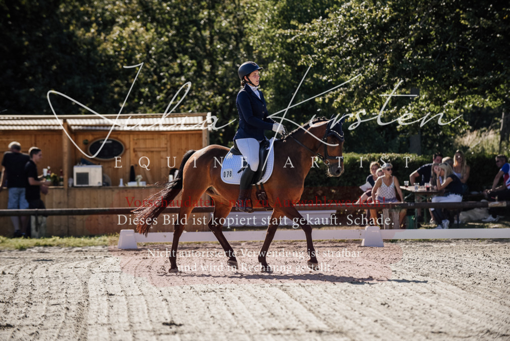 DSC_0263 | Pferde- und Turnierfotografie in Westsachsen. Pferdeportraits, Auftragszeichnungen und intuitive Kunst.