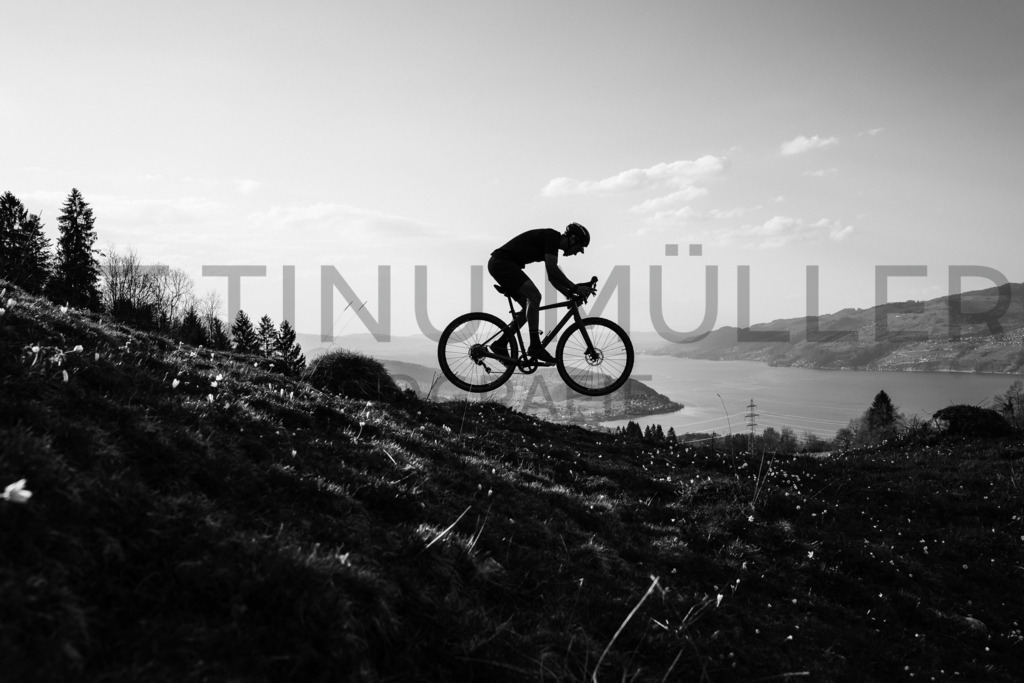 DSC05416 | Tinu Müller Fotografie- Bildershop - Realisiert mit Pictrs.com