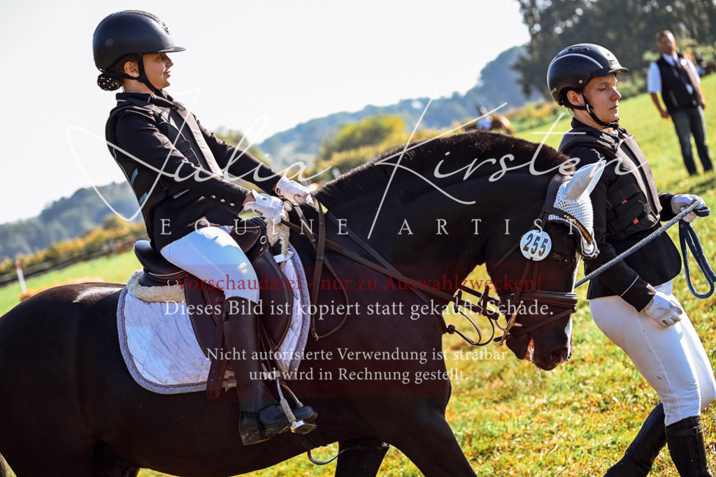 DSC_0363 | Pferde- und Turnierfotografie in Westsachsen. Pferdeportraits, Auftragszeichnungen und intuitive Kunst.