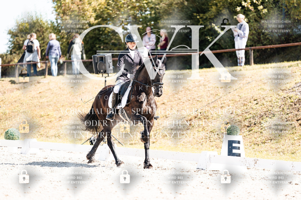 CK904083 | Turnierfotografie Pferdefotografie Trier Rheinland-Pfalz Pferdesport Reitsport Tierfotografie Sportfotografie Pferdevideo Pferdevideografie Equestrianvideography equestrianphotography  - Realisiert mit Pictrs.com