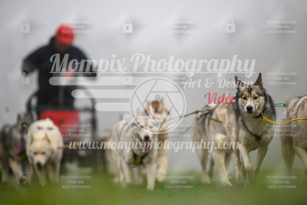 MompixPhotography_CDF2023_FFST_Di_Kart-101 | PayLife