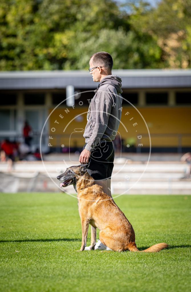 Pfotenfotografie_DV3A4933 | Hundefotografie, Tierfotograf, Pfotenfotografie, Fotoshooting Hund, Hunde Portrait, Hundesport, Hundeportraits, Heideshooting, Hunde, Sportfotograf, Hundefotograf, Turnierhundsport, THS,  - Realisiert mit Pictrs.com