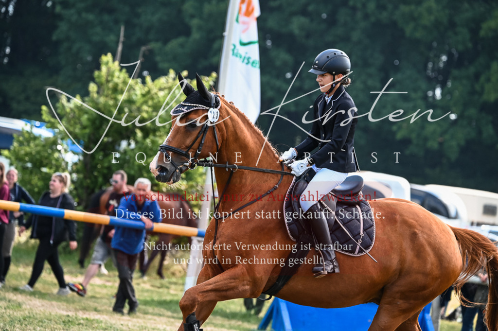 DSC_7958 | Pferde- und Turnierfotografie in Westsachsen. Pferdeportraits, Auftragszeichnungen und intuitive Kunst.