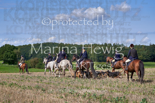 08-23 Bredeneek Jagd_MCH9253_Marina Hewig | Fotografie, FotoArt, PferdesportArt, Pferdesportfotografie, Landschaftsfotografie, Reisefotografie, Reise, Pferde - Realisiert mit Pictrs.com