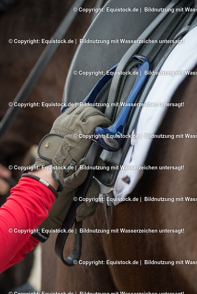 20160322_TOMsPiC_TOMsPiC_0010 | equistock