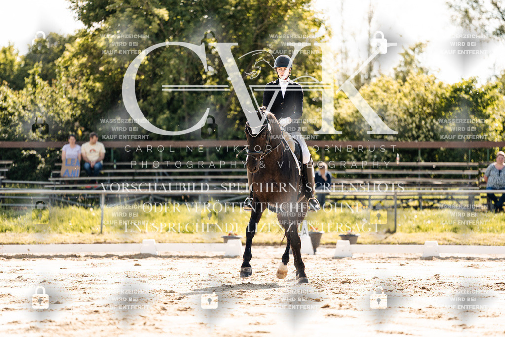 CK909223 | Turnierfotografie Pferdefotografie Trier Rheinland-Pfalz Pferdesport Reitsport Tierfotografie Sportfotografie Pferdevideo Pferdevideografie Equestrianvideography equestrianphotography  - Realisiert mit Pictrs.com