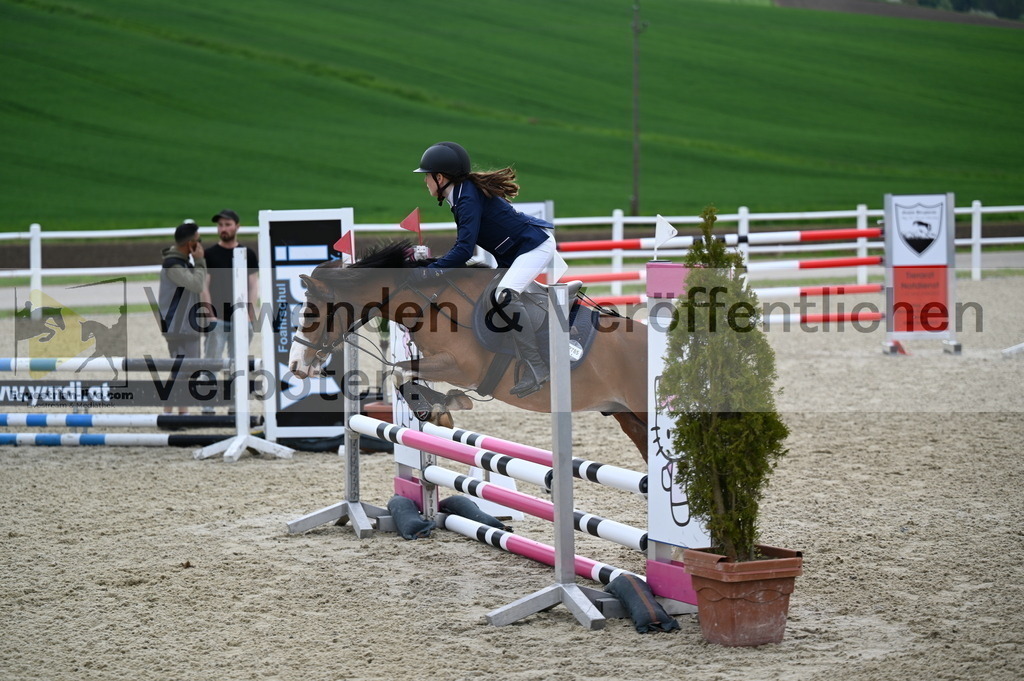 DSC_0352 | equestrian-live-com