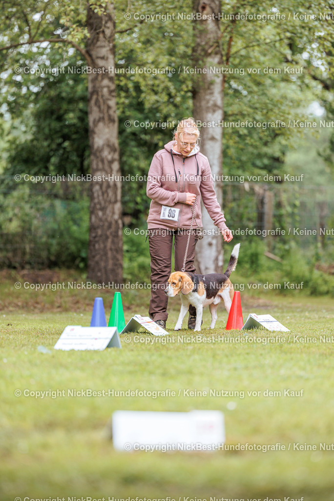 RO-Blumenthal-2026-Nickbest-Hundefotografie-4854 | Dein Hund! Dein Moment! Deine Erinnerungen! Hundefotografie in Bremen Blumenthal. Ich fange die besonderen Momente deines Vierbeiners ein – ob Indoor mit Blitzanlage oder in der freien Natur. Sicher dir dein Moment und dein Termin für eure Erinnerungen.