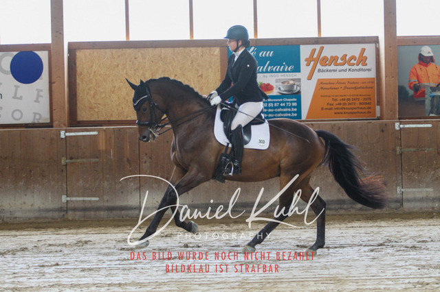 DKP45505 | Turniersportfotografie; Pferdefotografie; Dressurfotografie