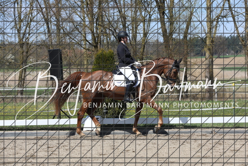 AZ2A5262 | Benjamin Bartmann Photomoments