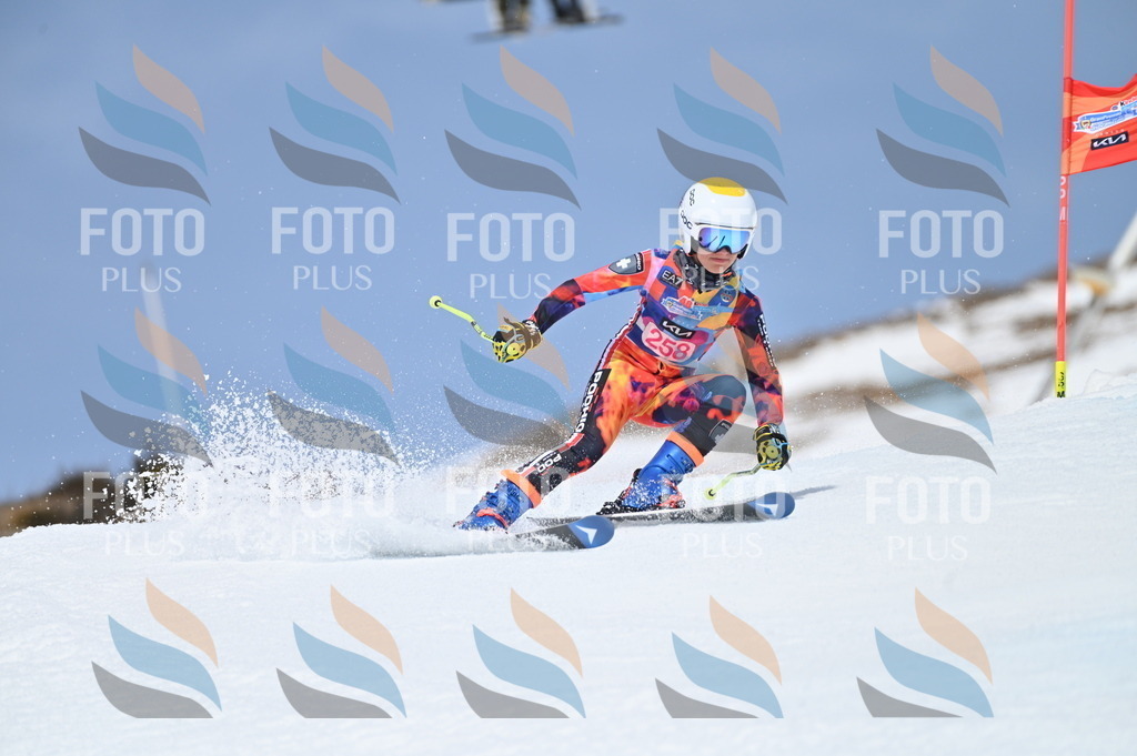 BGV_2027 | holidayphoto