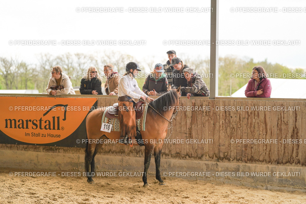 DSC07380 | Pferdegrafie