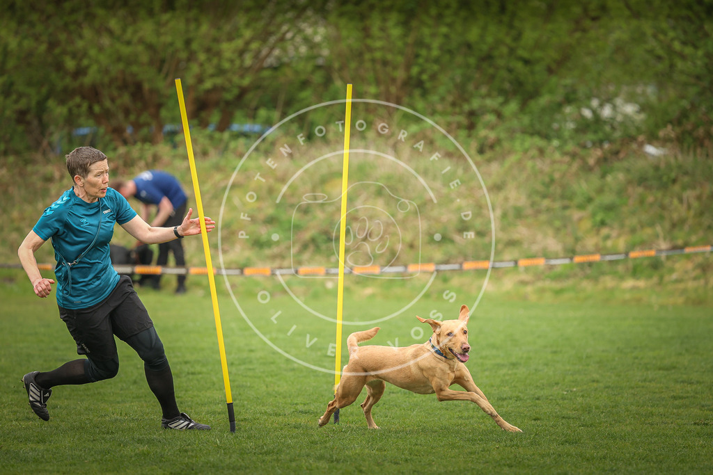 Pfotenfotografie_0L8A0523 | Hundefotografie, Tierfotograf, Pfotenfotografie, Fotoshooting Hund, Hunde Portrait, Hundesport, Hundeportraits, Heideshooting, Hunde, Sportfotograf, Hundefotograf, Turnierhundsport, THS,  - Realisiert mit Pictrs.com