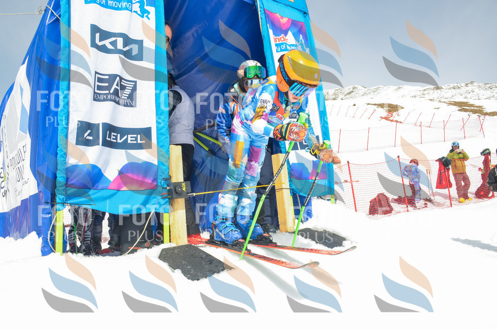 _ELE7564 | holidayphoto