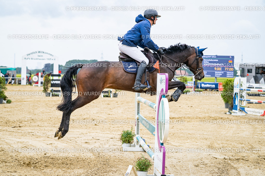 DSC09482 | Pferdegrafie