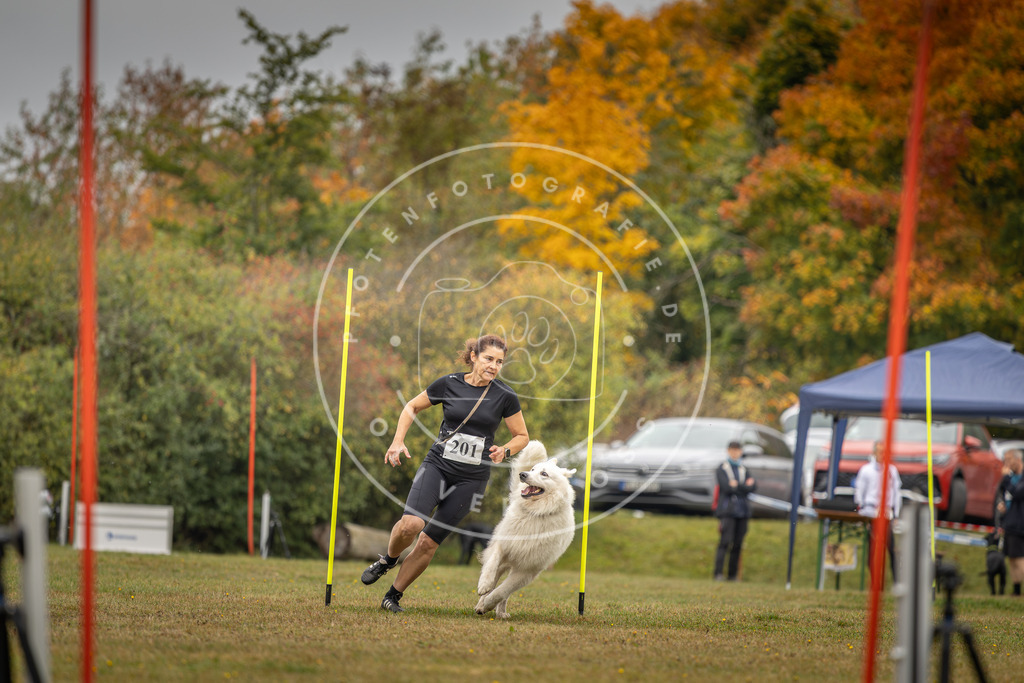 Pfotenfotografie_DV3A1935 | Hundefotografie, Tierfotograf, Pfotenfotografie, Fotoshooting Hund, Hunde Portrait, Hundesport, Hundeportraits, Heideshooting, Hunde, Sportfotograf, Hundefotograf, Turnierhundsport, THS,  - Realisiert mit Pictrs.com