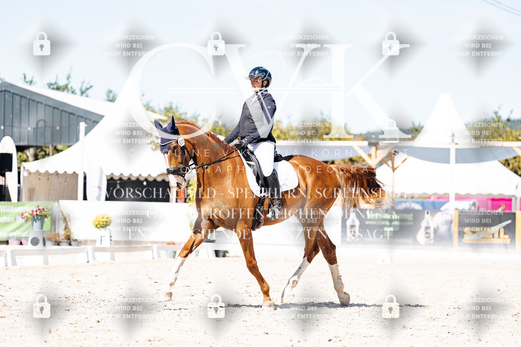 CK900002 | Turnierfotografie Pferdefotografie Trier Rheinland-Pfalz Pferdesport Reitsport Tierfotografie Sportfotografie Pferdevideo Pferdevideografie Equestrianvideography equestrianphotography  - Realisiert mit Pictrs.com
