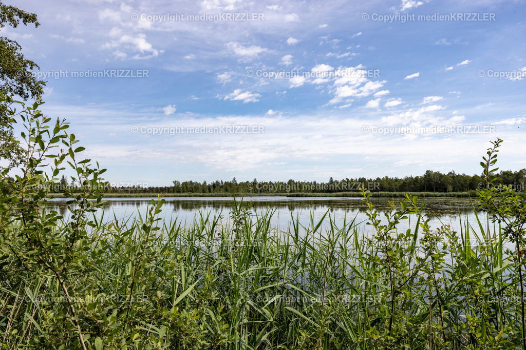 _J3A5405 | medienkrizzler - Realisiert mit Pictrs.com