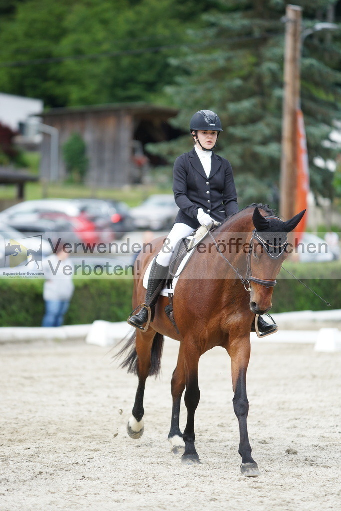 DSC05466 | equestrian-live-com