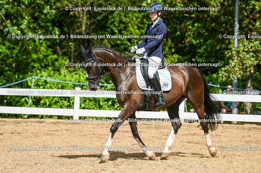 20230715_02_Dressurreiterprüfung Kl.L_0257 | equistock