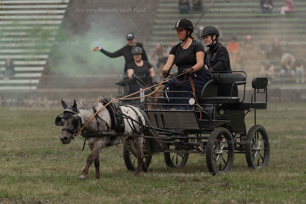 Showprogramm-401 | working equitationturnier fotograf videograf stoibphotography marixx film working equitation deutschland reitsport turnierfotografie eventfotografie equestrian events
