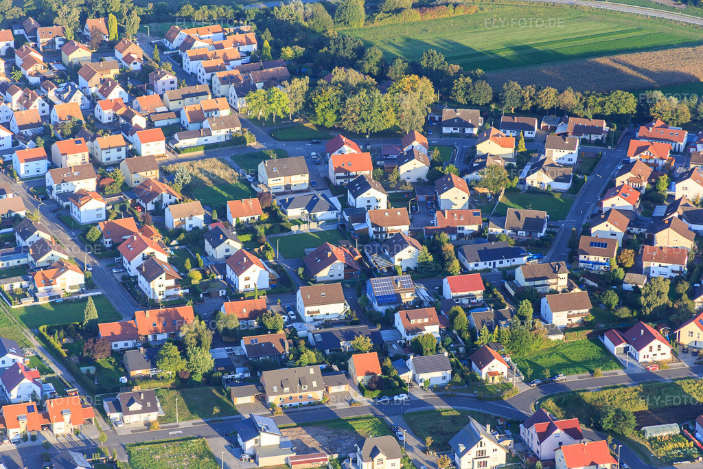 Luftbild: Birkenring im Ortsteil Hardtwald in Neupotz im Bundesland Rheinland-Pfalz in Deutschland. Foto: IMG_073142.jpg vom 23.09.2014 durch Werner Riehm/FLY-FOTO.deAuflösung des Originals: 5472 x 3648 px