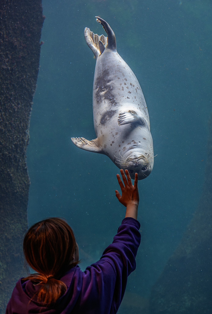 Alaska | Seward. - Realisiert mit Pictrs.com