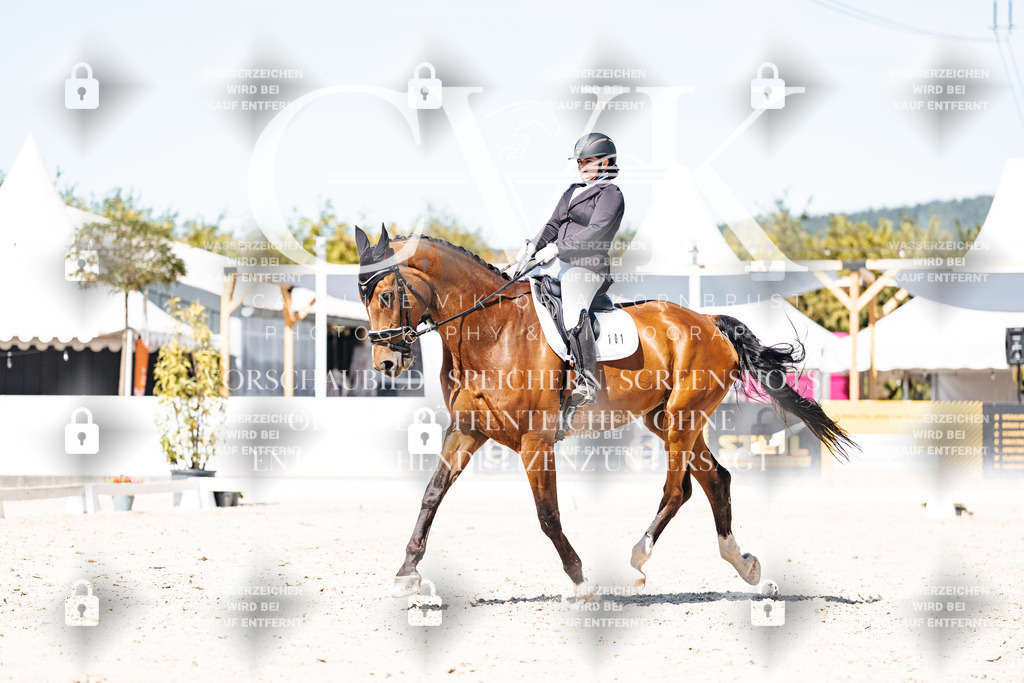 CK909994 | Turnierfotografie Pferdefotografie Trier Rheinland-Pfalz Pferdesport Reitsport Tierfotografie Sportfotografie Pferdevideo Pferdevideografie Equestrianvideography equestrianphotography  - Realisiert mit Pictrs.com