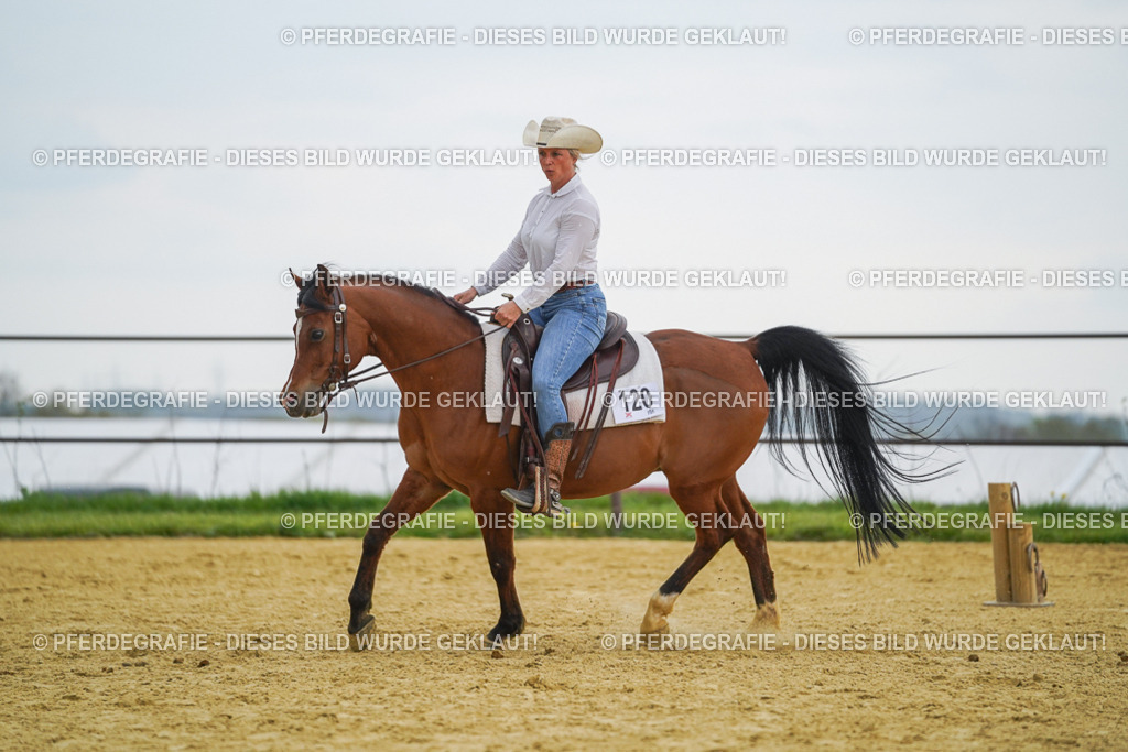 DSC08189 | Pferdegrafie