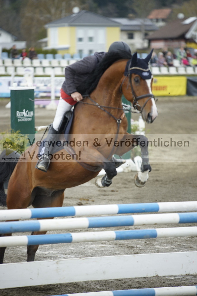 _DSC7915 | equestrian-live-com