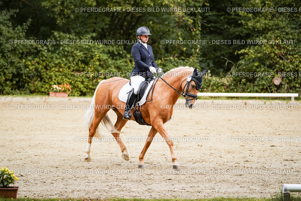 DSC09082 | Pferdegrafie