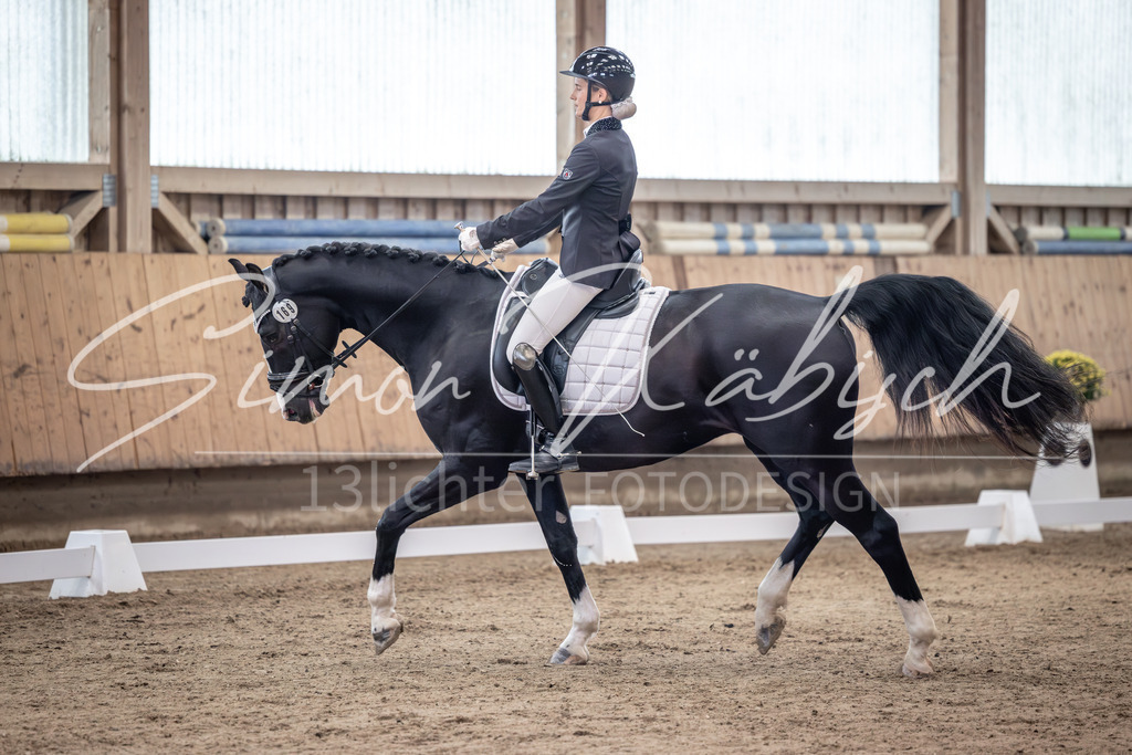 20251011-_3LI9386 | Tierfotografie Pferde, Hunde, Katzen, Haustiere.
Turnierfotografie Reitturniere, Reiten, Springreiten, Dressur in Hanau, dem Main-Kinzig-Kreis und dem Rhein-Main- Gebiet um Frankfurt