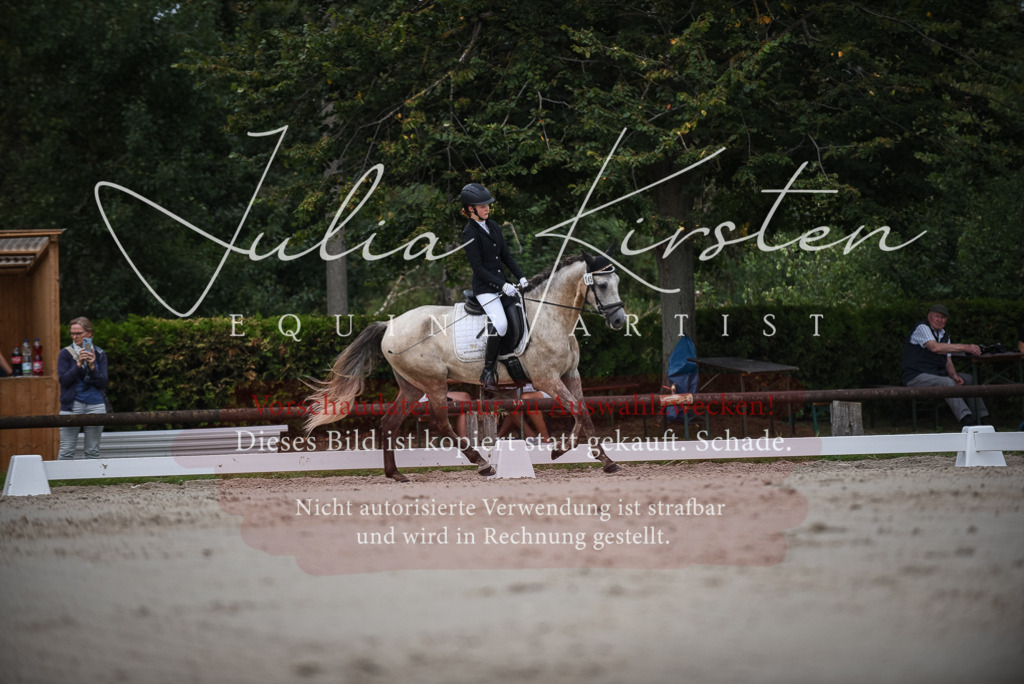 DSC_8213 | Pferde- und Turnierfotografie in Westsachsen. Pferdeportraits, Auftragszeichnungen und intuitive Kunst.