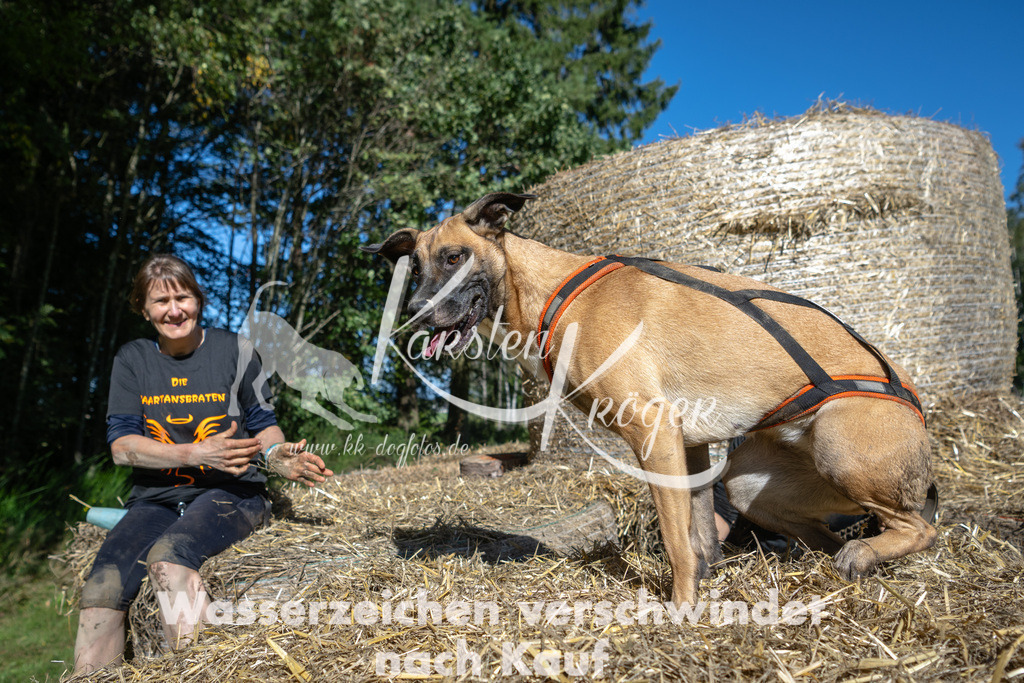 1233_ZZ91512-2 | kk-dogfotos