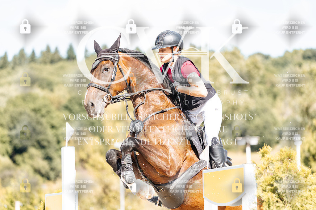 CK909123 | Turnierfotografie Pferdefotografie Trier Rheinland-Pfalz Pferdesport Reitsport Tierfotografie Sportfotografie Pferdevideo Pferdevideografie Equestrianvideography equestrianphotography  - Realisiert mit Pictrs.com