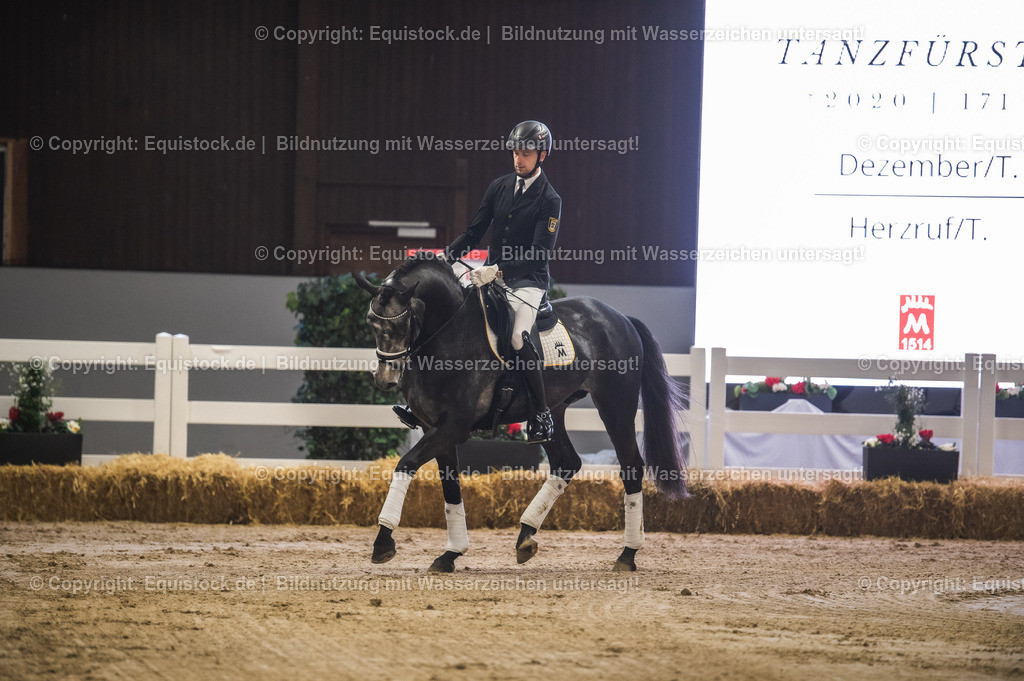 20240302_Hengstvorstellung_Marbach_TOMsPiC_0199-2 | equistock