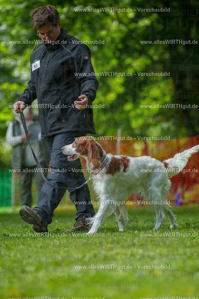 @allesWIRTHgut_Tierfotografie - www.allesWIRTHgut.de - 7R505741 | Professionelle Tierfotografie in Mönchengladbach von Daniel Wirth (allesWIRTHgut). Liebevolle & natürliche Bilder von Hunden & Katzen für unvergessliche Erinnerungen.