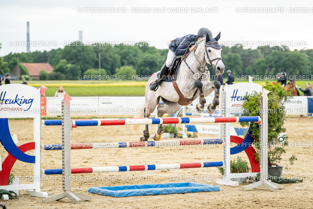 DSC07082 | Pferdegrafie