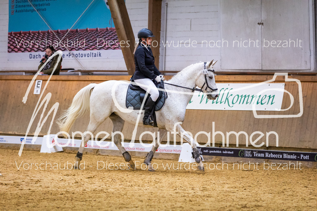 Sth-KombDreSpr-034 | MomenTaufnahmen Pferdesportfotos