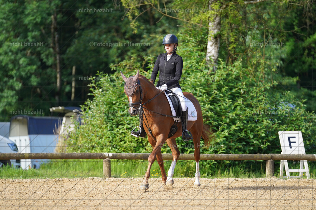20240706-FAH04420 | Grafing Turnierfotos, Reitverein Ebersberg, Turnierfotografen Bayern, reitsportbilder, Pferdefotograf, reitsportfotograf, Sportbilder, Reitsportfotografie, Fotoagentur Herrmann, Turnierfotograf