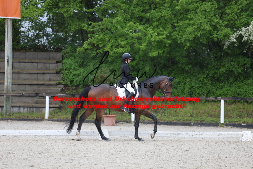 A40A9496 | lmwpictures - Realisiert mit Pictrs.com