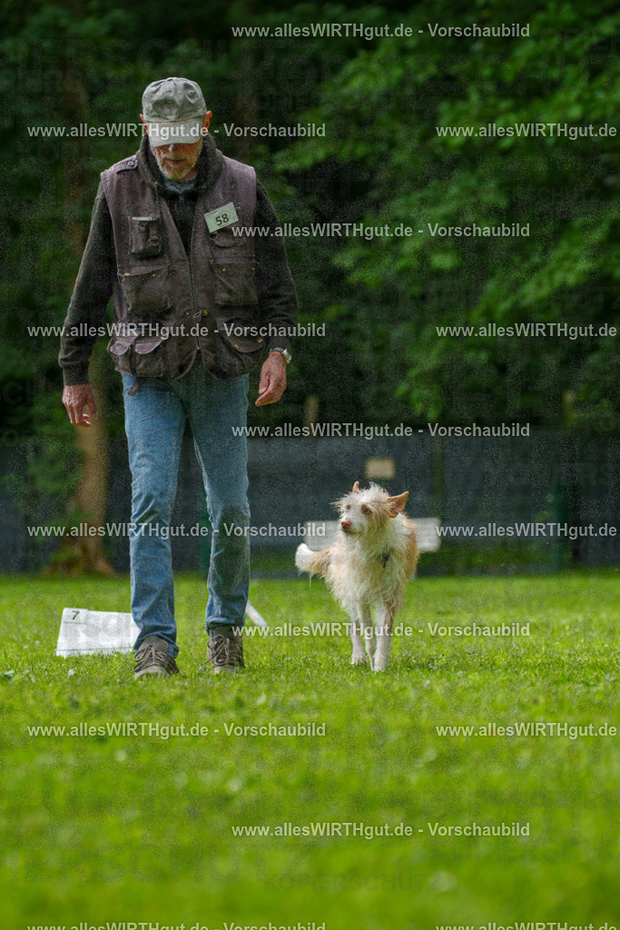 @allesWIRTHgut_Tierfotografie - www.allesWIRTHgut.de - 7R501338 | Professionelle Tierfotografie in Mönchengladbach von Daniel Wirth (allesWIRTHgut). Liebevolle & natürliche Bilder von Hunden & Katzen für unvergessliche Erinnerungen.