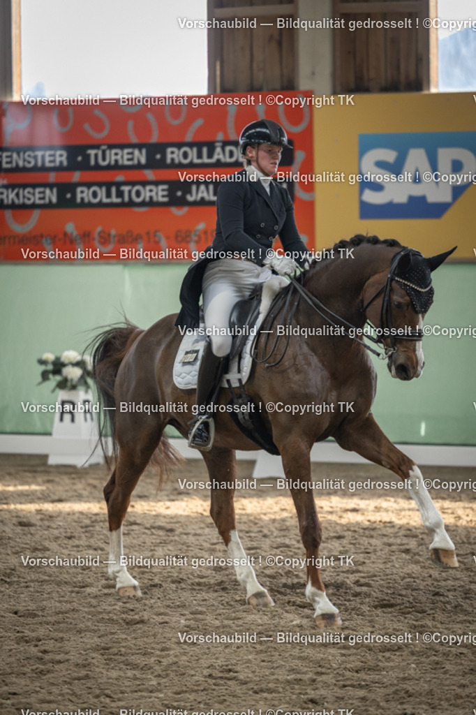 _D5A6650 | Emotionale Pferde- & People-Fotografie rund um Heidelberg, Leimen & Umgebung. Natürliche Fotos von Pferd, Mensch & Familie. Jetzt Termin sichern!