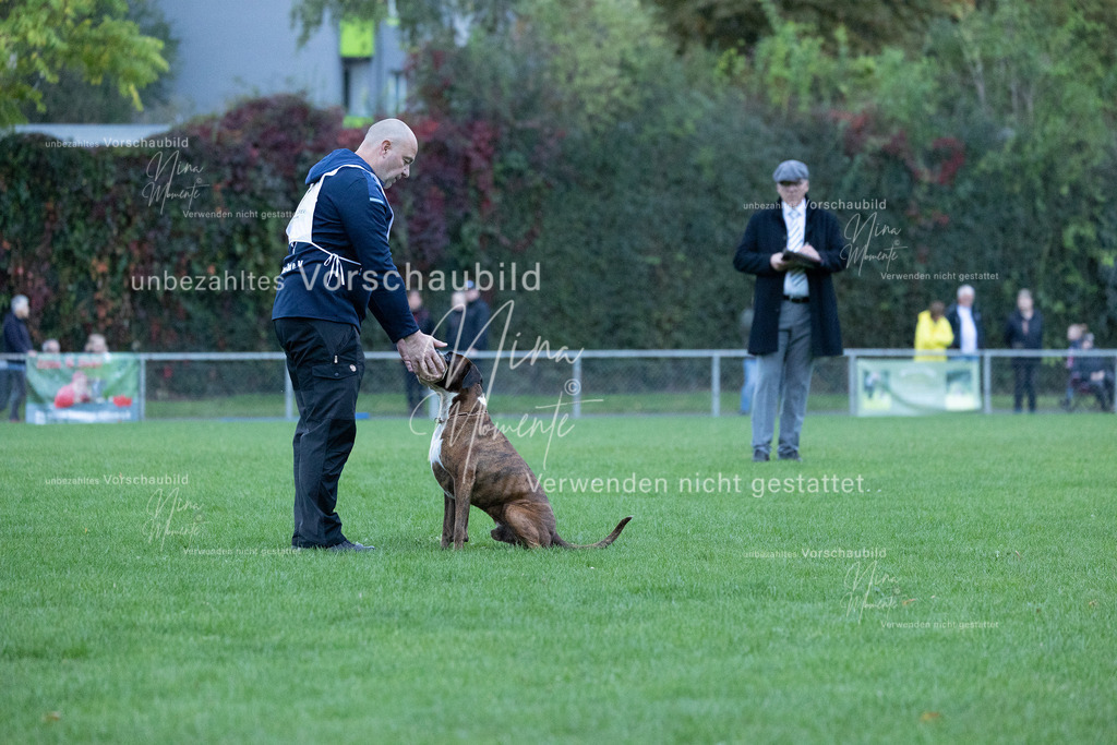 _16A4451 | Einzigartige Fotos von Hunden & Menschen –Actionfotos, Portraits, Vereinsaufnahmen & Paarshootings – authentisch, lebendig & mit Herz.