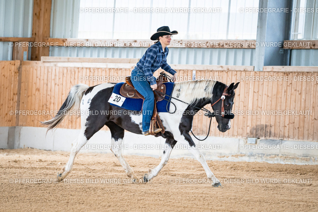 DSC07975 | Pferdegrafie